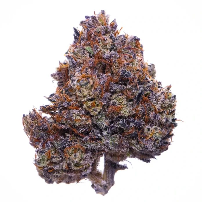 Purple Haze Cannabis