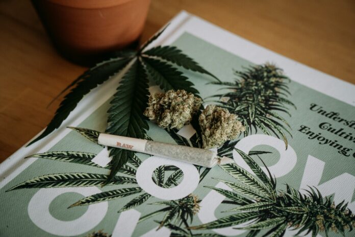 Weed packaging