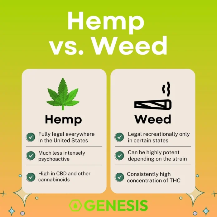 CBD vs THC